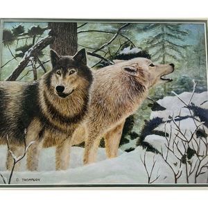 11" x 14"  oil painting Giclée Winter Wolfs Snow Matte 16" X 20"David Thompson